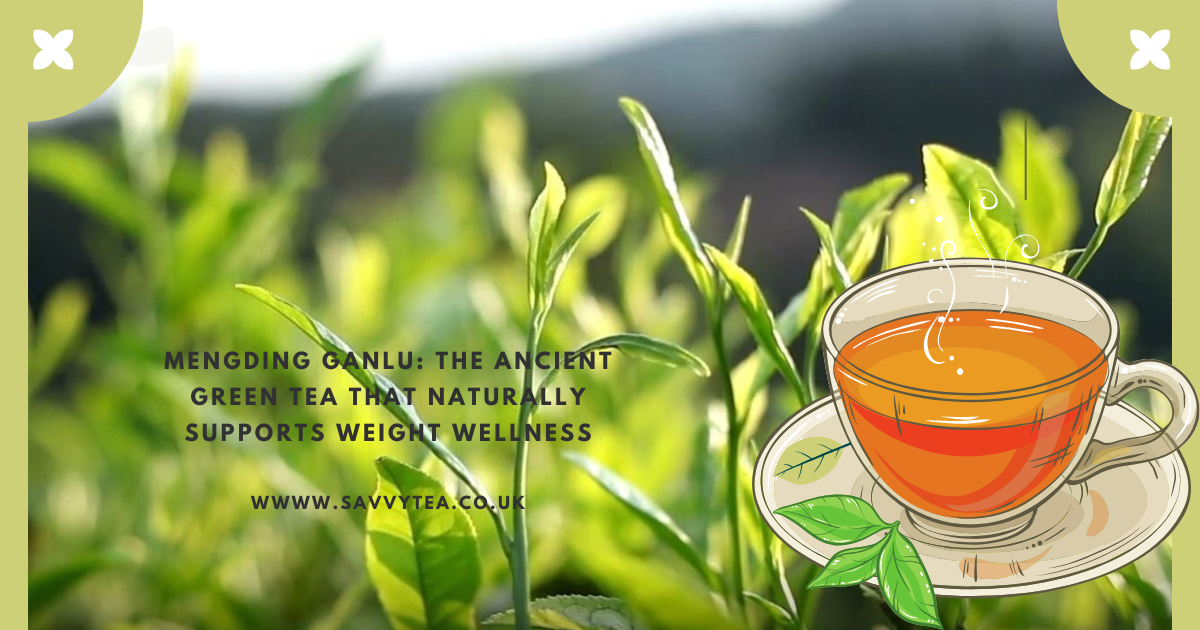 Mengding Ganlu: The Ancient Green Tea That Naturally Supports Weight Wellness – SavvyTea.co.uk